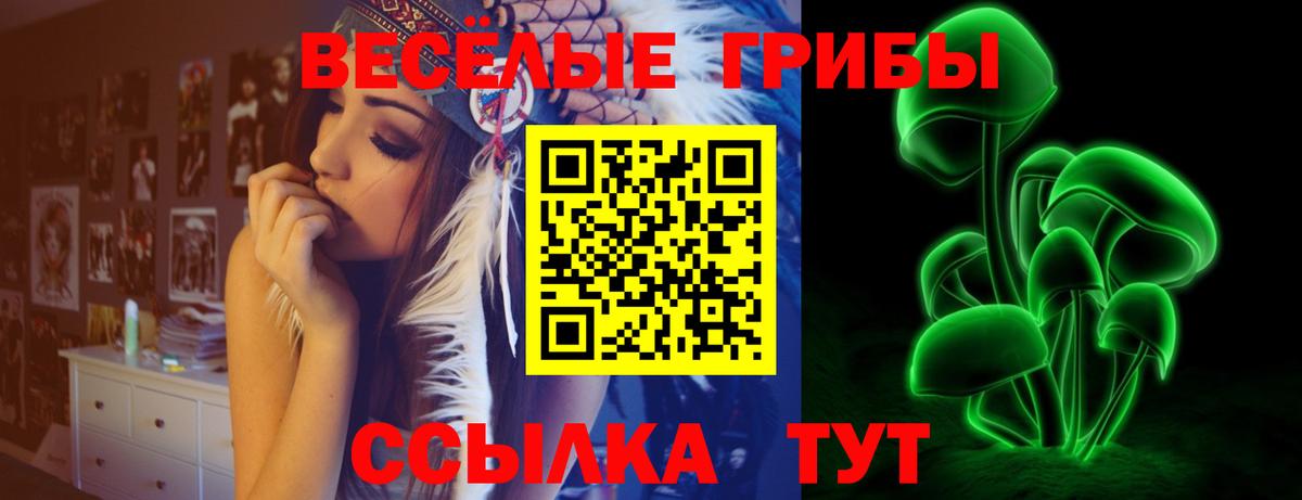 Псилоцибиновые грибы GOLDEN TEACHER  купить закладку  Богородск  Вход с VPN 